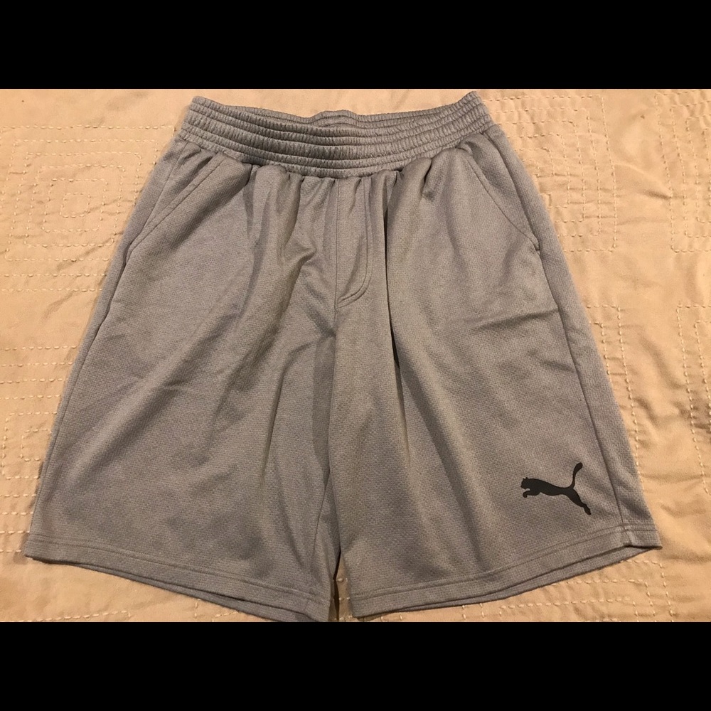 Puma shorts, Adult Medium